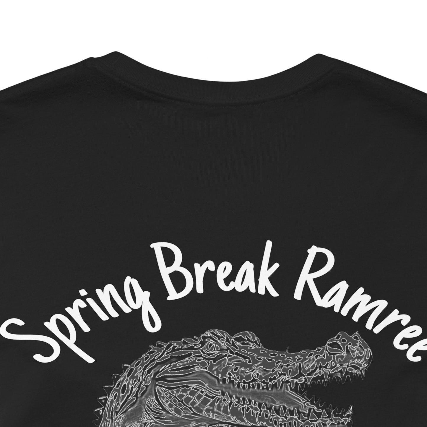 Ramree Island Spring Break 1945 Tee (Express Delivery btw)