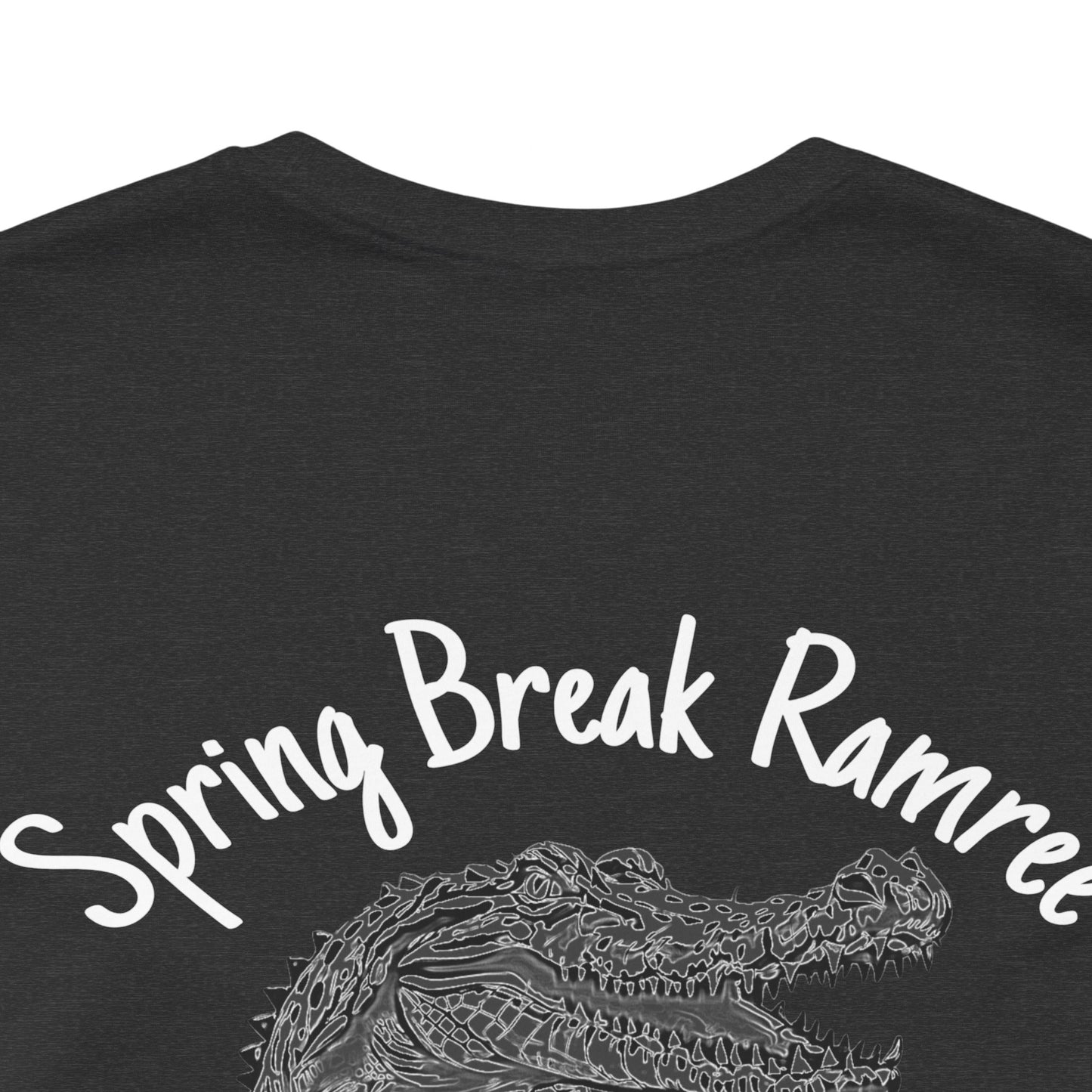 Ramree Island Spring Break 1945 Tee (Express Delivery btw)